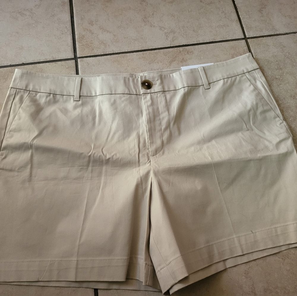 Ann Taylor 6inch Short Khaki Size 18